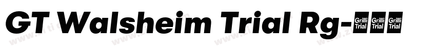 GT Walsheim Trial Rg字体转换